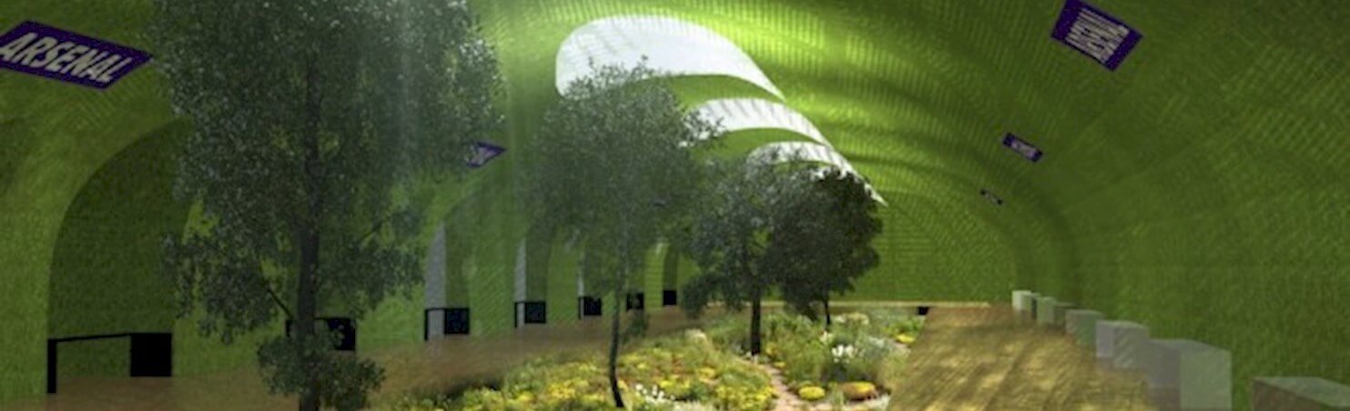 jardin-660x313.jpg